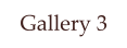 Gallery 3