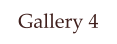 Gallery 4