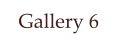 Gallery 6